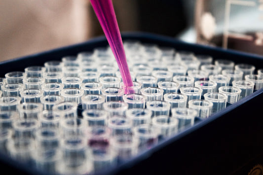 PCR pet testing accuracy demonstrated with pipetting into clear sample tubes in a lab setting