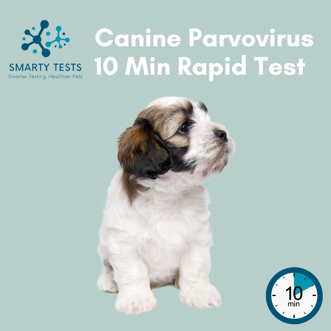 How do you test for parvo in fashion dogs