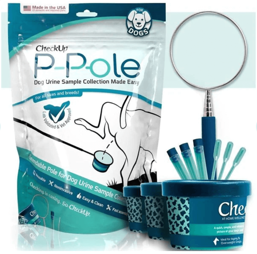 CheckUp P-Pole dog Urinary Tract Infection test kit for easy urine sample collection