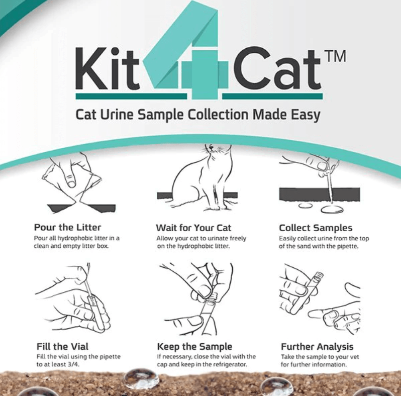 Kedi Labs Kit4Cat instructions for cat Urinary Tract Infection home test with sample collection steps