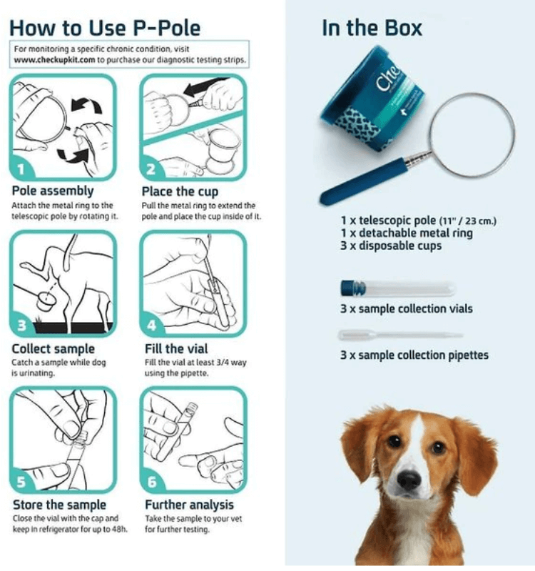 Kedi Labs dog Urinary Tract Infection test kit instructions with assembly guide and sample collection information