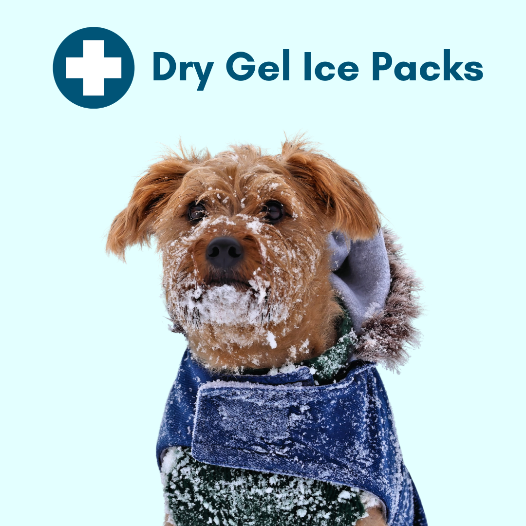 Kedi Labs dry gel ice pack 2 oz. designed for effective cold therapy, featuring a pet wearing a warm coat