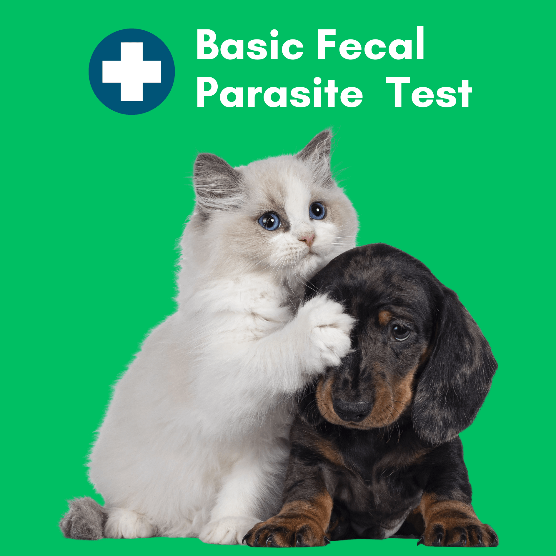 Kedi Labs Basic Fecal Parasite Test for pets featuring a kitten and a puppy