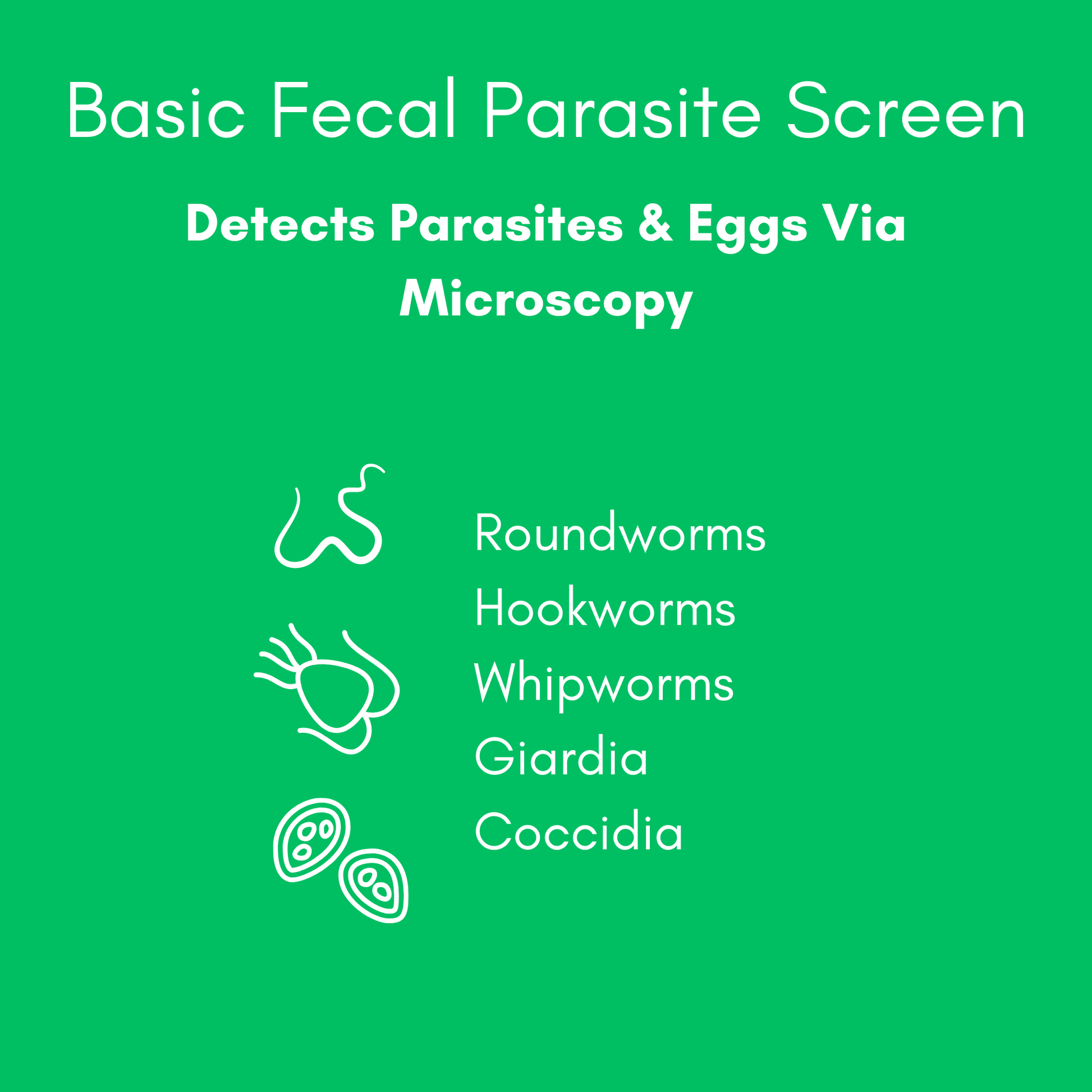 Kedi Labs Basic Fecal Parasite Test for Pets detects parasites and eggs via microscopy.