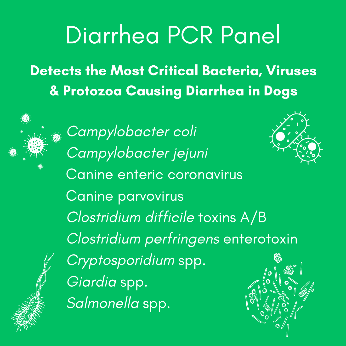 Kedi Labs dog diarrhea mail-in test for detecting critical pathogens causing diarrhea in dogs