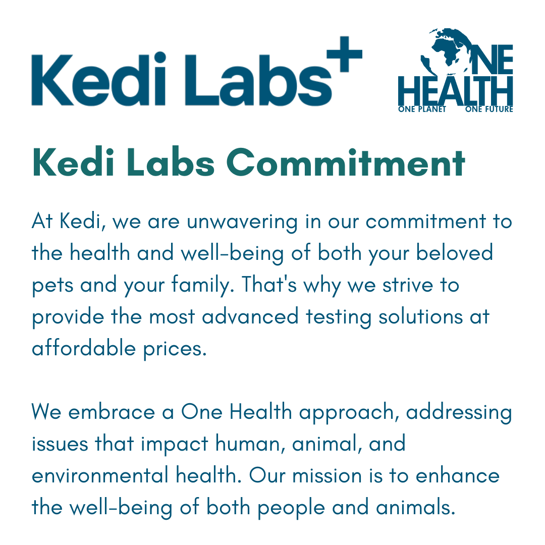 Kedi Labs skin test commitment to health and well-being for pets, featuring a ringworm PCR test for pets.