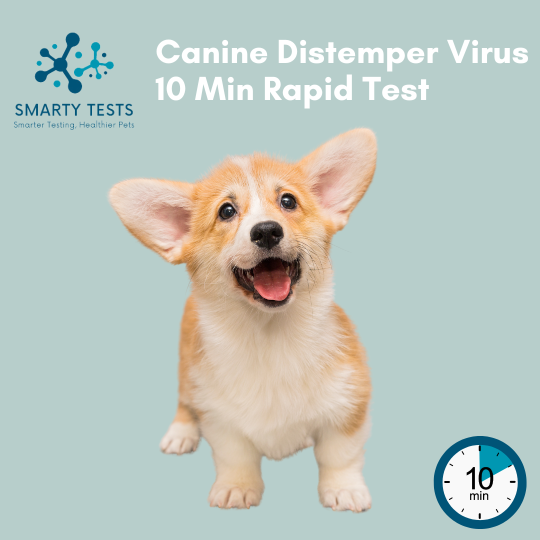 Canine distemper virus rapid test by Smarty Tests designed for quick results in just 10 minutes