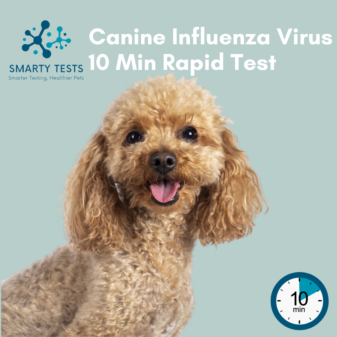 Smarty Tests Dog Flu Rapid Test for Canine Influenza Virus with 10-Minute Result Time