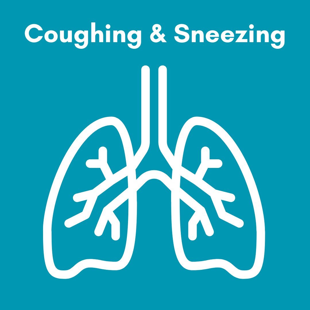 Determine Why Your Pet Is Coughing & Sneezing