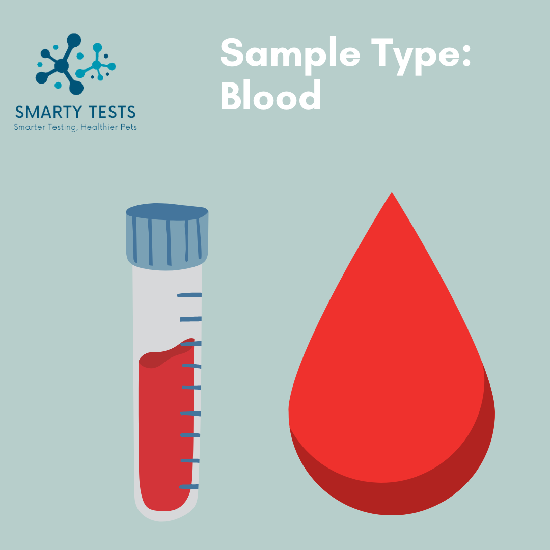 Canine Lyme Disease 10-Minute Rapid Test