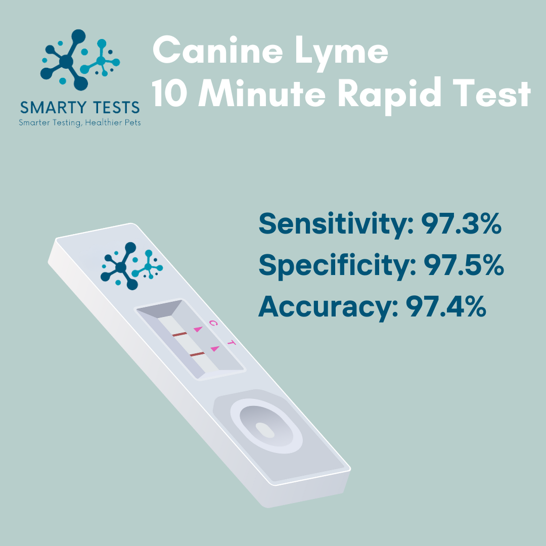 Canine Lyme Disease 10-Minute Rapid Test