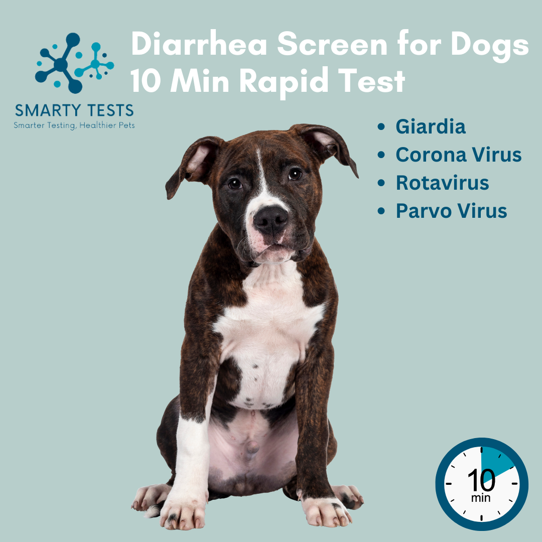 Diarrhea Screen 10-Minute Rapid Test for Dogs