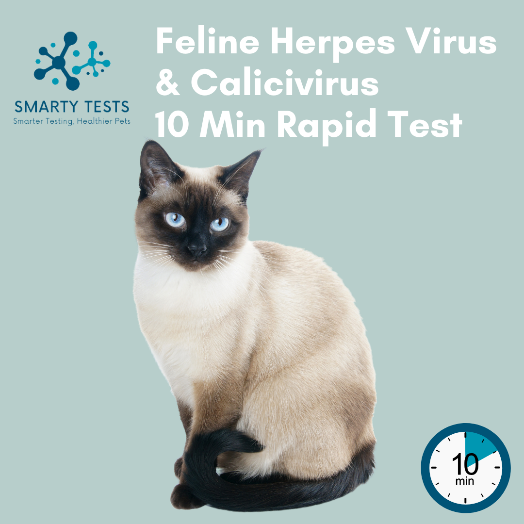 Feline Herpes & Calicivirus Combination 10-Minute Rapid Test