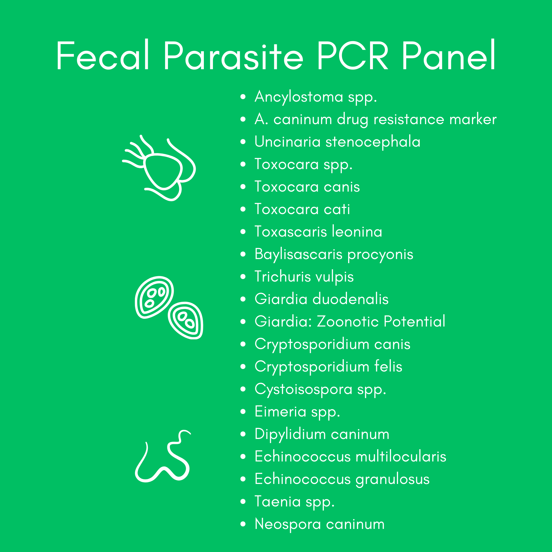 Fecal Parasite PCR Panel for Dogs & Cats - Kedi Labs