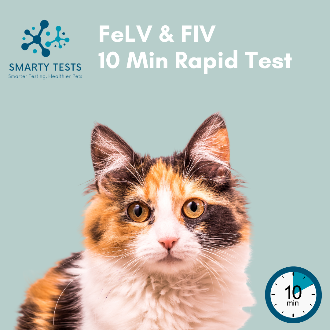 FeLV & FIV Combination 10-Minute Rapid Test