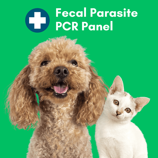 Fecal Parasite PCR Panel for Dogs & Cats - Kedi Labs