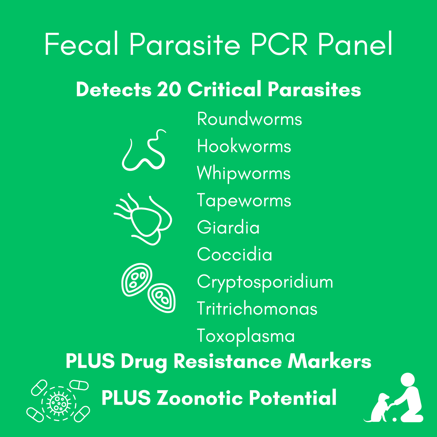 Fecal Parasite PCR Panel for Dogs & Cats - Kedi Labs