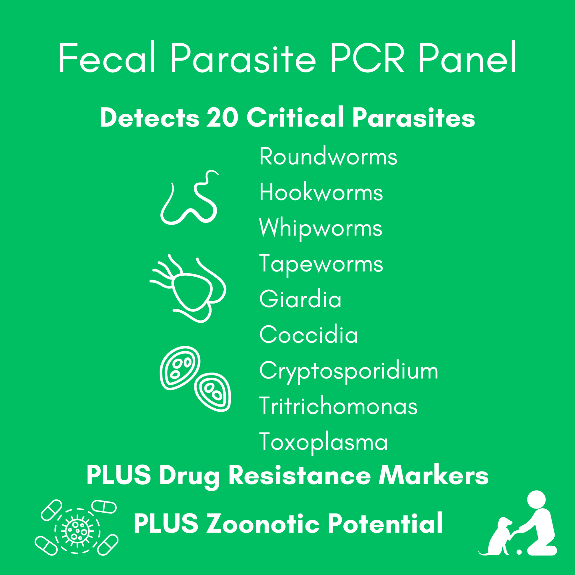 Fecal Parasite PCR Panel for Dogs & Cats - Kedi Labs