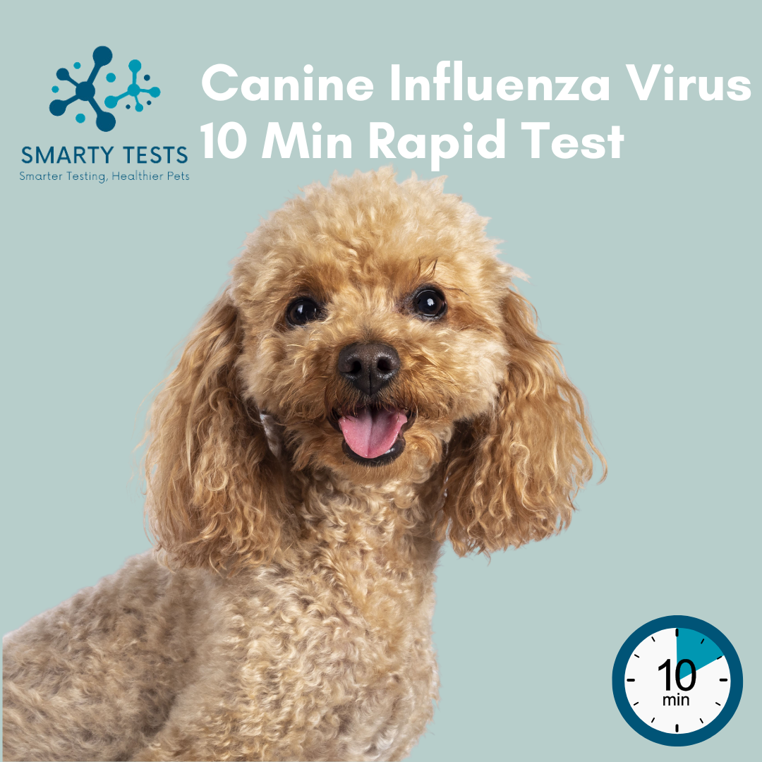 Canine Influenza Virus (Dog Flu) 10-Minute Rapid Test