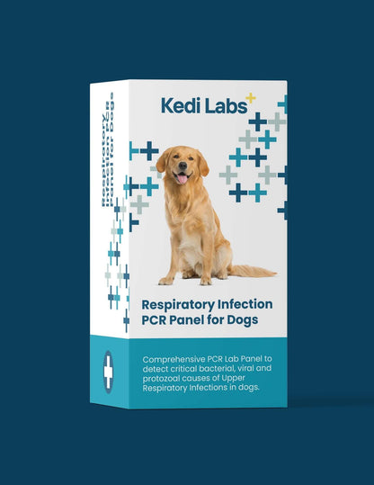 Kedi Labs Upper Respiratory Disease PCR Panel for Dogs