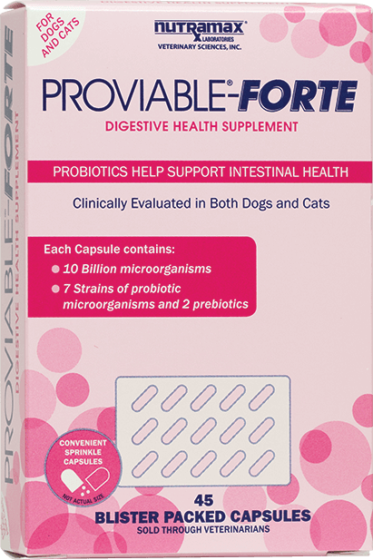 Nutramax Proviable-FORTE Probiotics for Pets