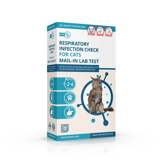 Respiratory Infection Check Mail-In Test for Cats (PCR)