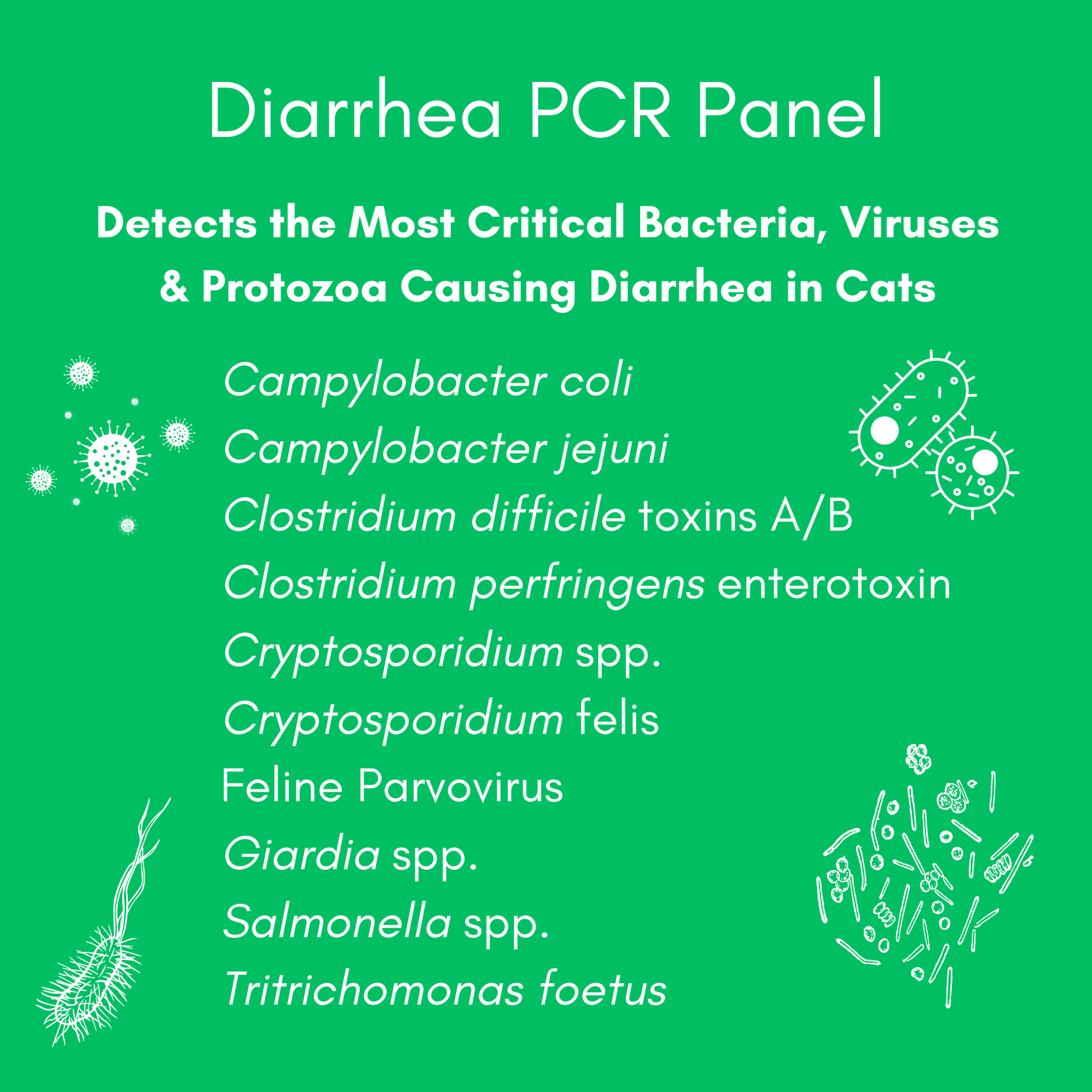 Diarrhea PCR Panel for Cats - Kedi Labs