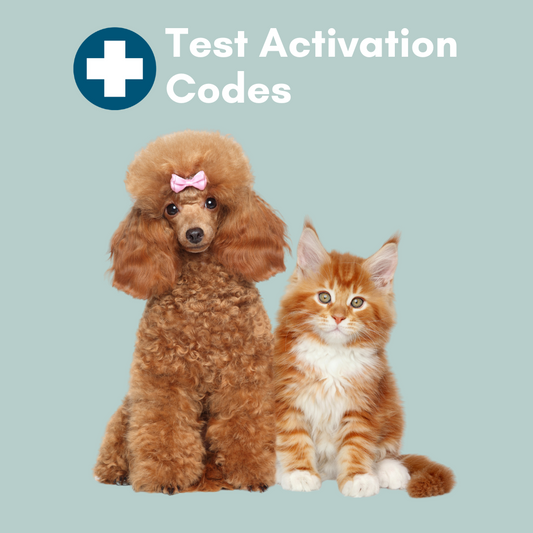 Kedi Labs at-home pet test activation with a poodle and a cat for easy pet health checks