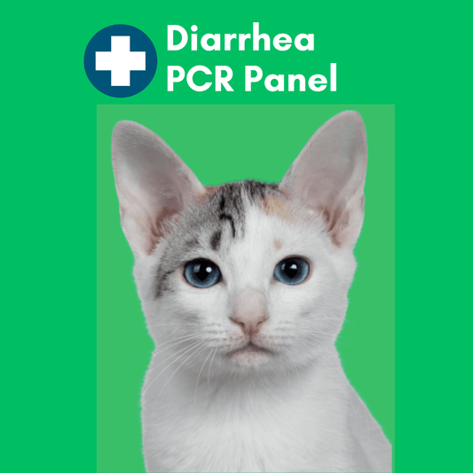 Diarrhea PCR Panel for Cats - Kedi Labs