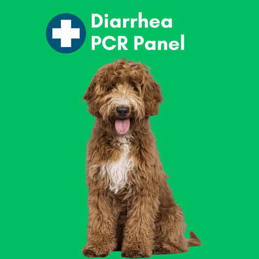Diarrhea PCR Panel for Dogs - Kedi Labs