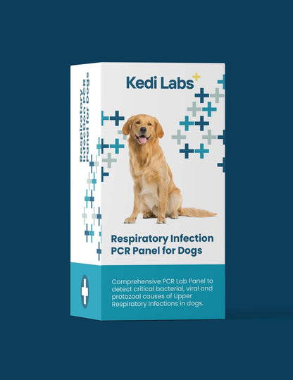 Kedi Labs Canine PCR Test Home Kit with Comprehensive Panel for Respiratory Infections in Dogs