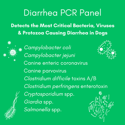 Kedi Labs dog diarrhea mail-in test for detecting critical pathogens causing diarrhea in dogs
