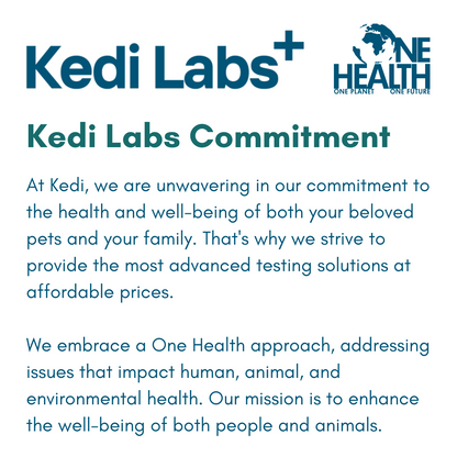 Kedi Labs skin test commitment to health and well-being for pets, featuring a ringworm PCR test for pets.