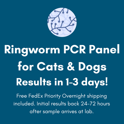Kedi Labs ringworm PCR test for pets panel for cats and dogs with quick results in 1-3 days