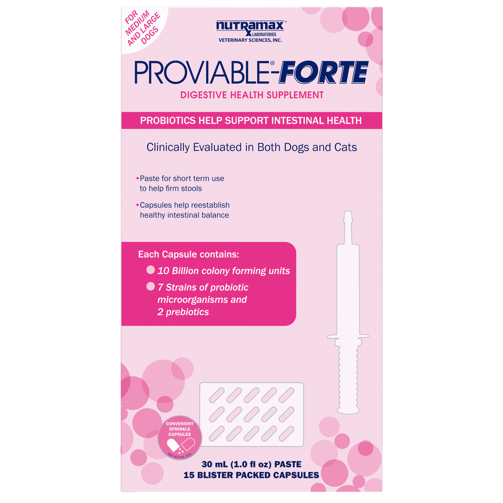Nutramax Proviable-FORTE Probiotics for Pets