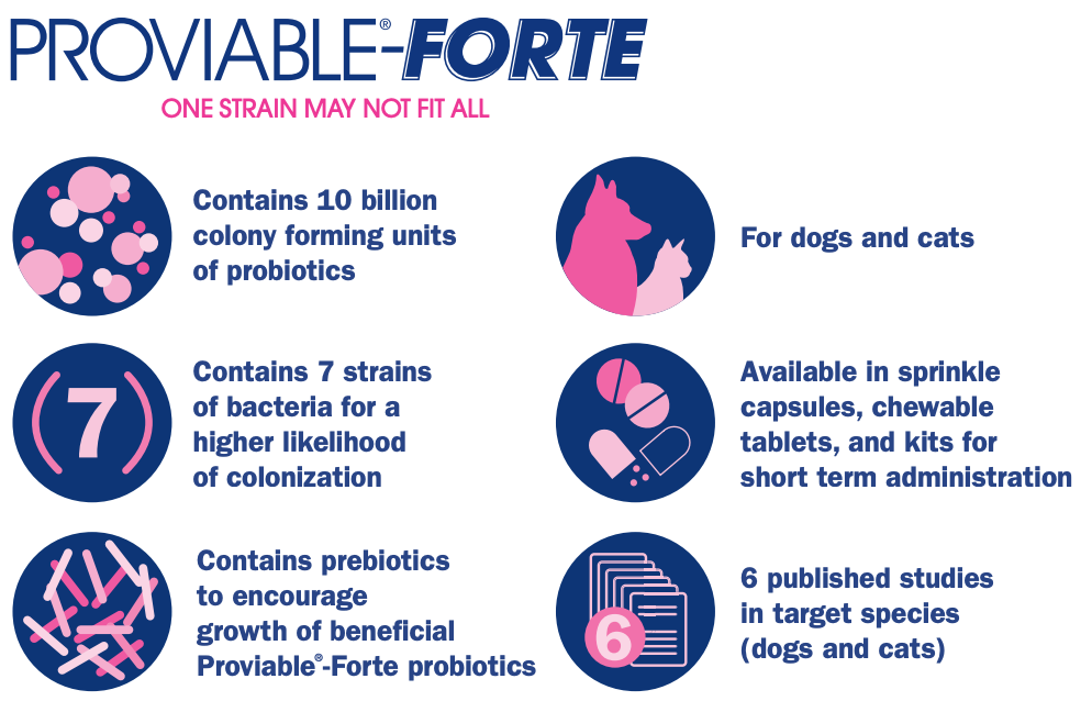 Nutramax Proviable-FORTE Probiotics for Pets