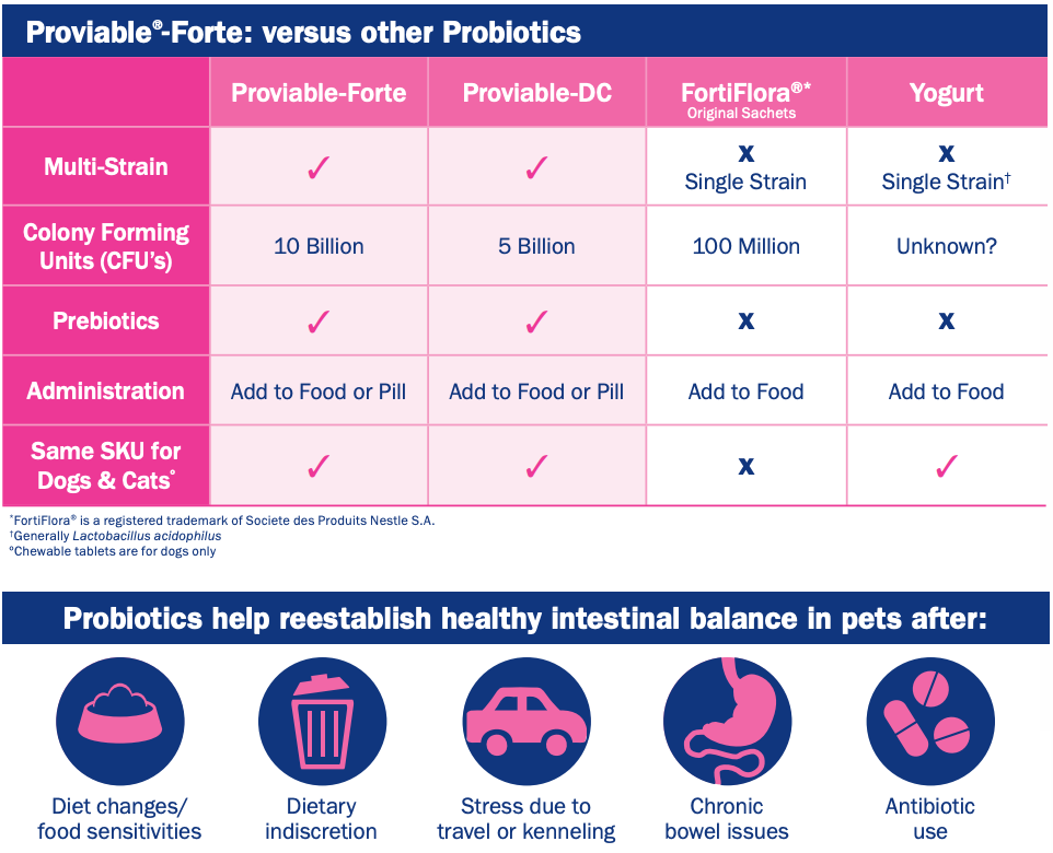 Nutramax Proviable-FORTE Probiotics for Pets