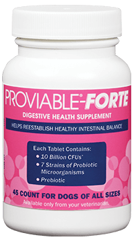 Nutramax Proviable-FORTE Probiotics for Pets