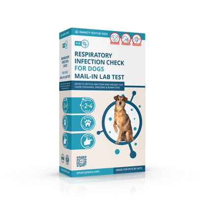 Kedi Labs respiratory infection test box for dogs, featuring a canine PCR test home kit for pet health