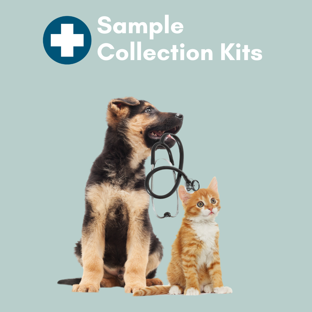 Sample Collection Kits: At-Home Testing