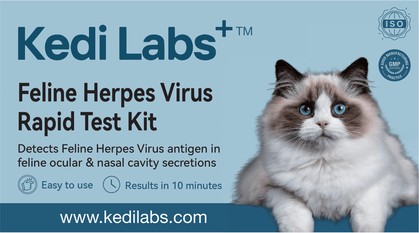 Feline Herpes Virus 10-Minute Rapid Test for Cats - Kedi Labs