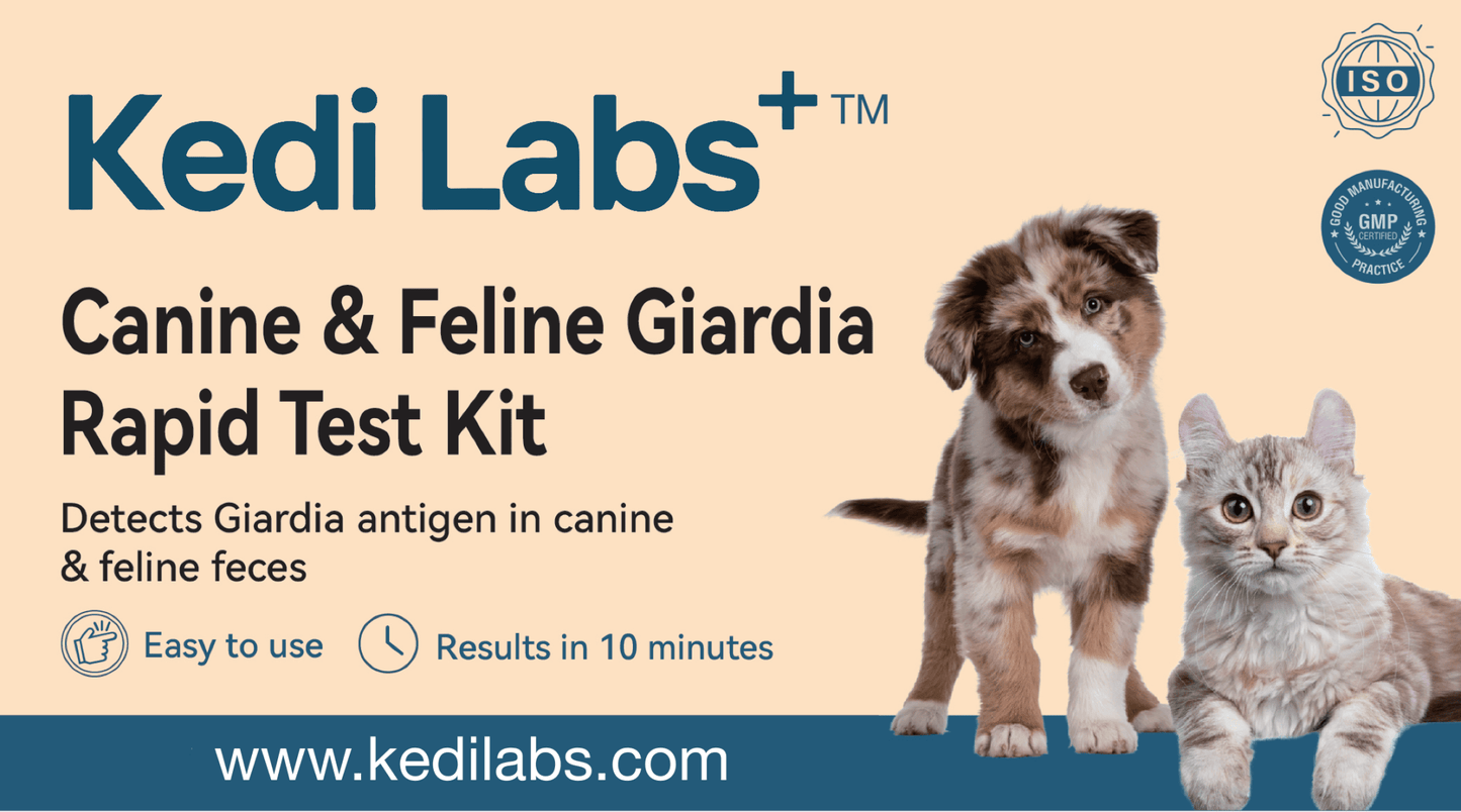 Giardia 10-Minute Rapid Test for Dogs & Cats - Kedi Labs